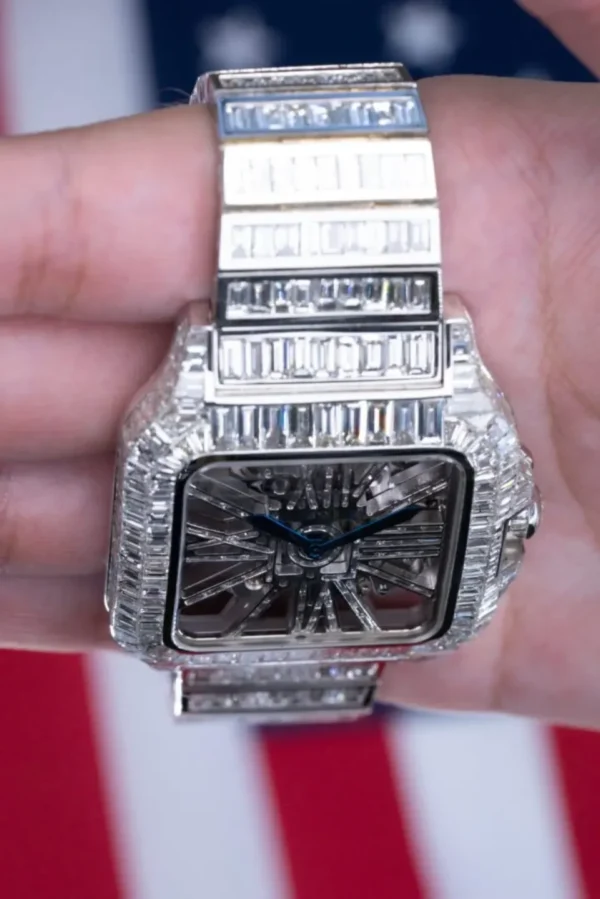 Dazzling Skelton Dial Automatic Movement Watch - Image 10